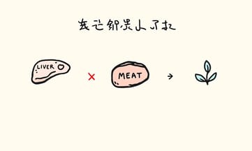 補血食材大揭密,紅肉真的比豬肝更優嗎?